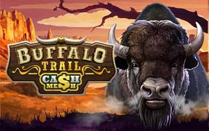 Buffalo Trail